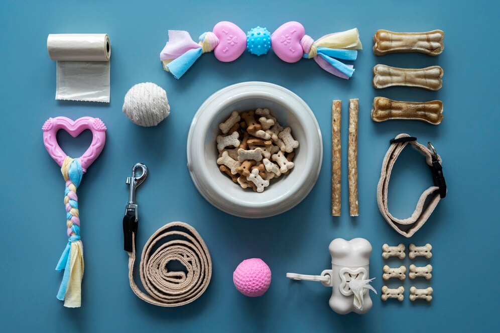 Assorted dog supplies including toys, treats, a leash, and grooming items arranged on a blue background.
