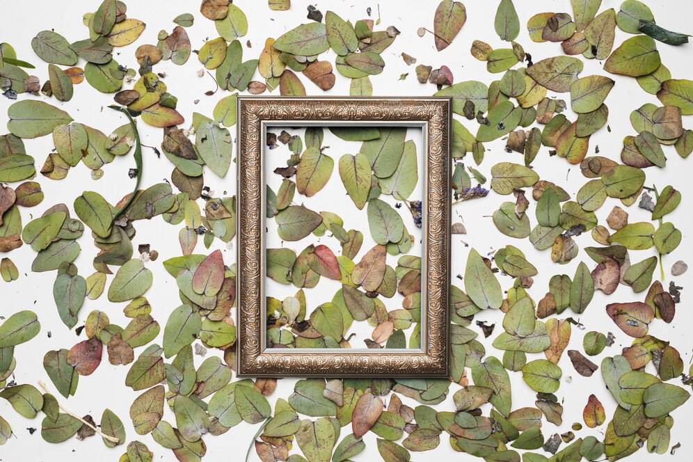 An ornate picture frame surrounded by scattered, multicolored leaves on a white background.