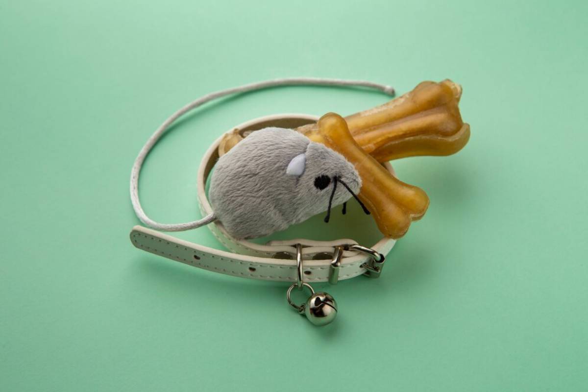 A plush mouse toy and a dog bone on a pet collar with a bell, on a green background.