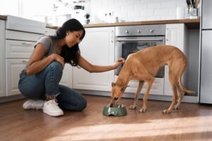 A woman crouches to pet her dog in a modern kitchen while it eats from a bowl.