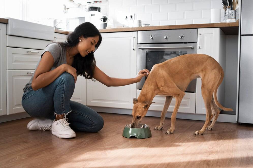 A woman crouches to pet her dog in a modern kitchen while it eats from a bowl.