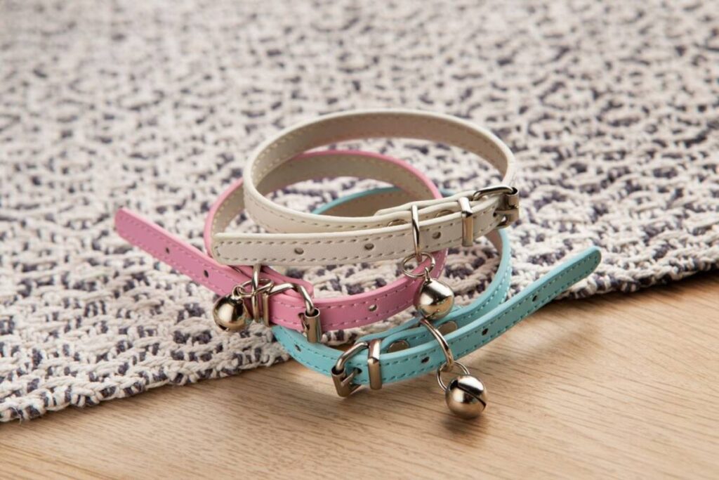 Three colorful cat collars with bells on a textured rug.