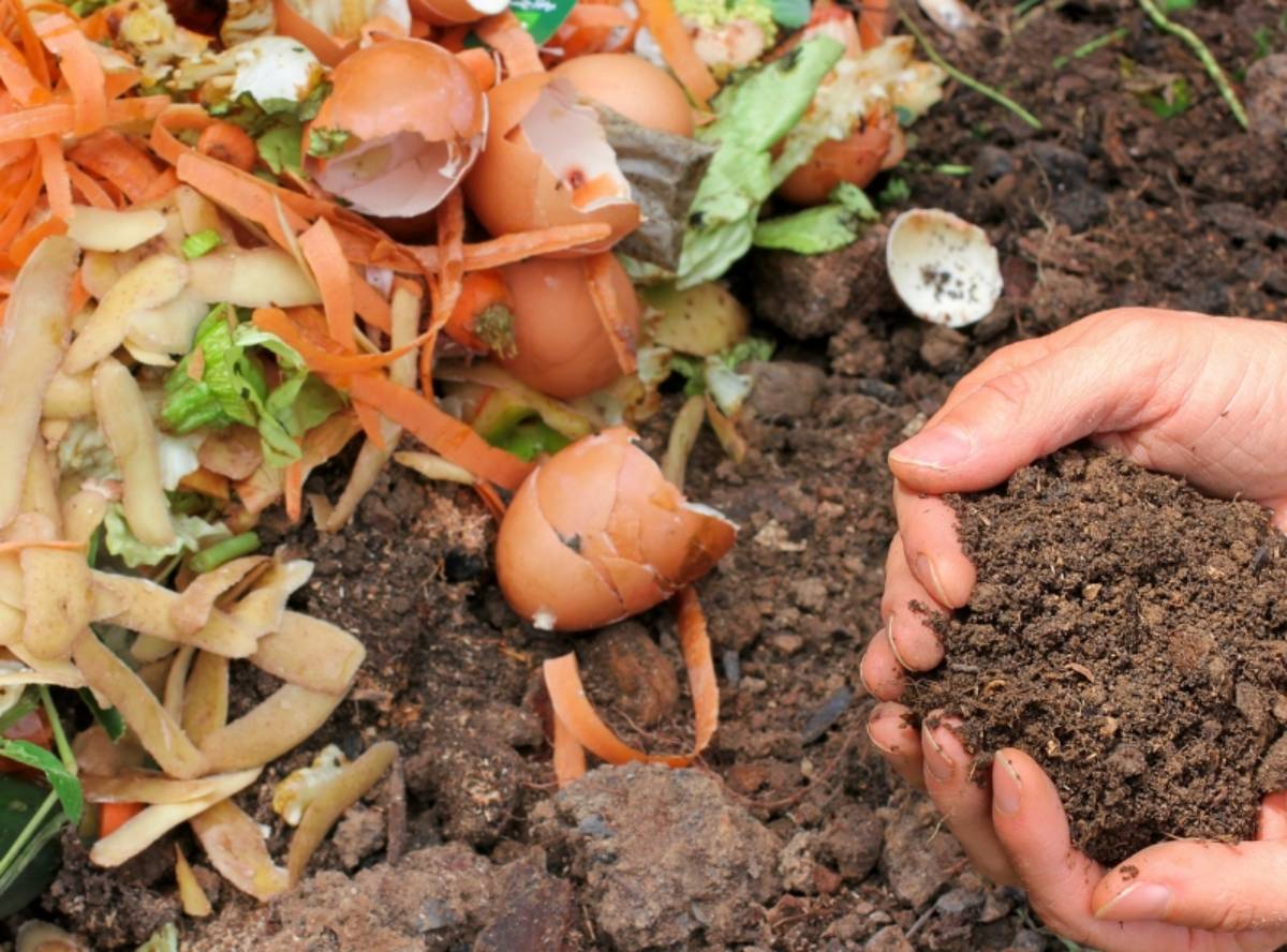 Hands holding nutrient-rich compost soil with a background of kitchen waste including eggshells and vegetable peels.
