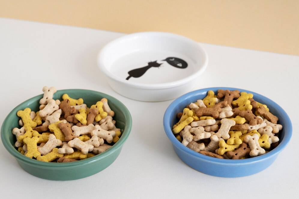 Three small bowls filled with assorted dog treats on a tabletop.