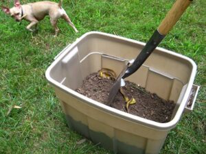 Composting at Home: DIY Bins for Beginners